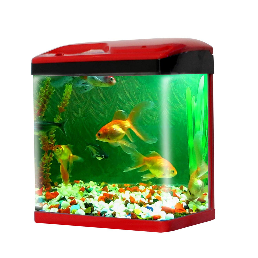 Fish Tank 3